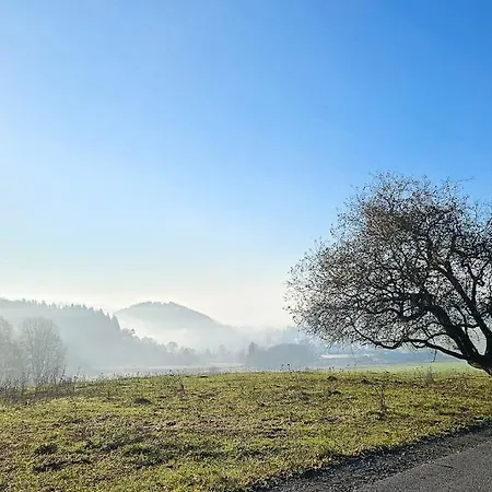 Wald Wiese Tatil Evi Kurort Steinbach-Hallenberg