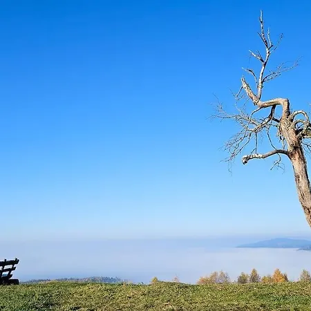 Wald Wiese Tatil Evi *