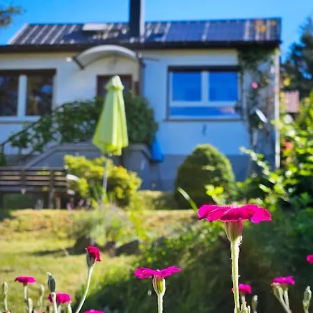 Wald Wiese Tatil Evi Kurort Steinbach-Hallenberg