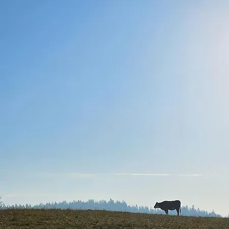 Wald Wiese * Kurort Steinbach-Hallenberg