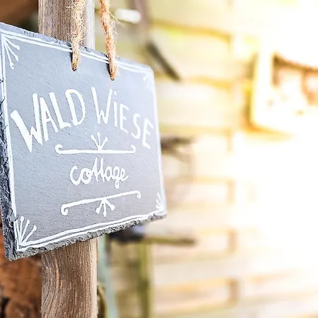 Wald Wiese Kurort Steinbach-Hallenberg