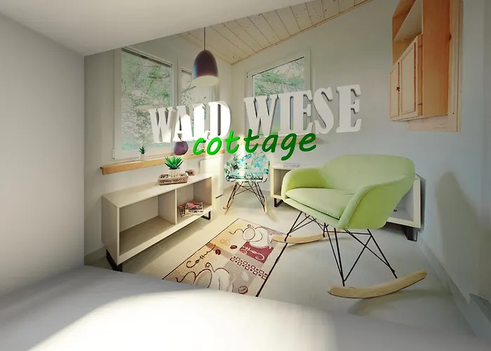 Wald Wiese * Kurort Steinbach-Hallenberg