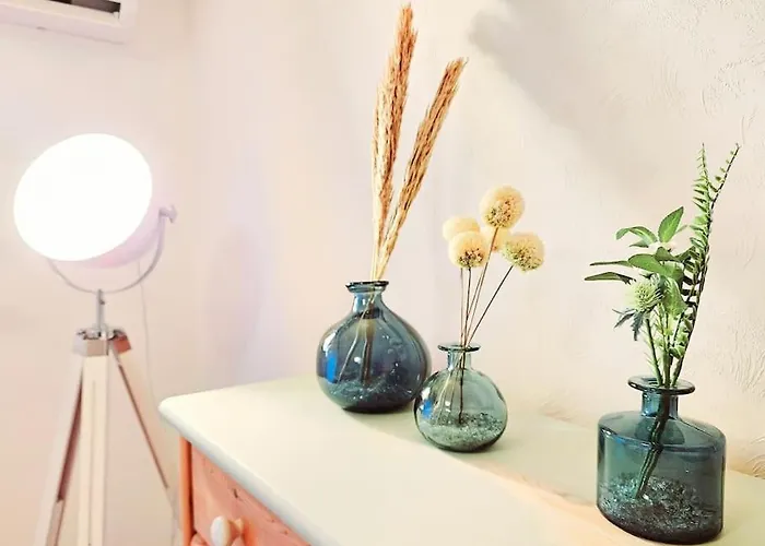 Wald Wiese * Kurort Steinbach-Hallenberg