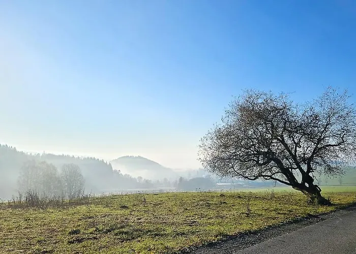 Wald Wiese Tatil Evi Kurort Steinbach-Hallenberg