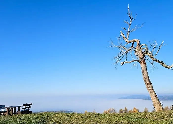 Wald Wiese Tatil Evi *