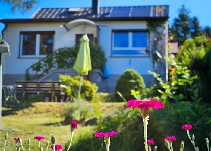 Wald Wiese Tatil Evi Kurort Steinbach-Hallenberg