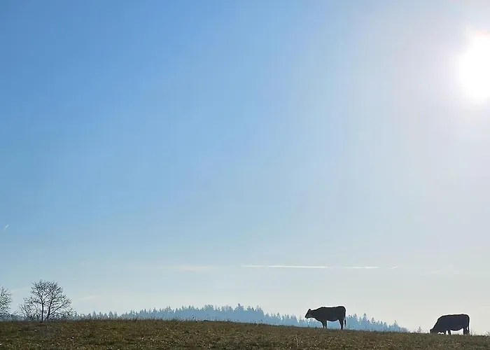 Wald Wiese * Kurort Steinbach-Hallenberg