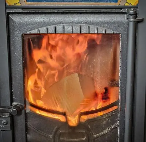 Wald Wiese 別荘 Kurort Steinbach-Hallenberg