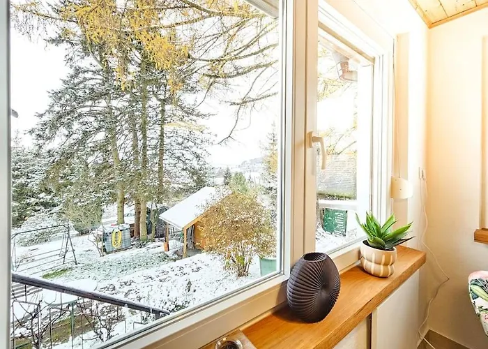 Wald Wiese Kurort Steinbach-Hallenberg