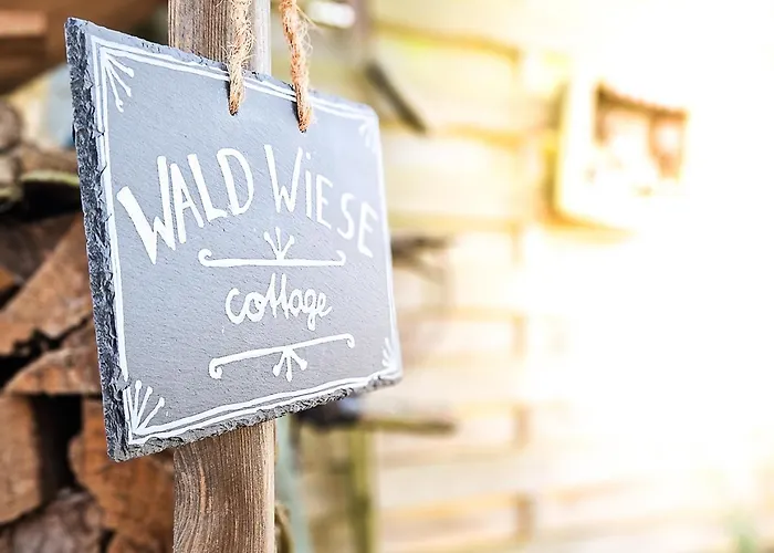 Wald Wiese Kurort Steinbach-Hallenberg